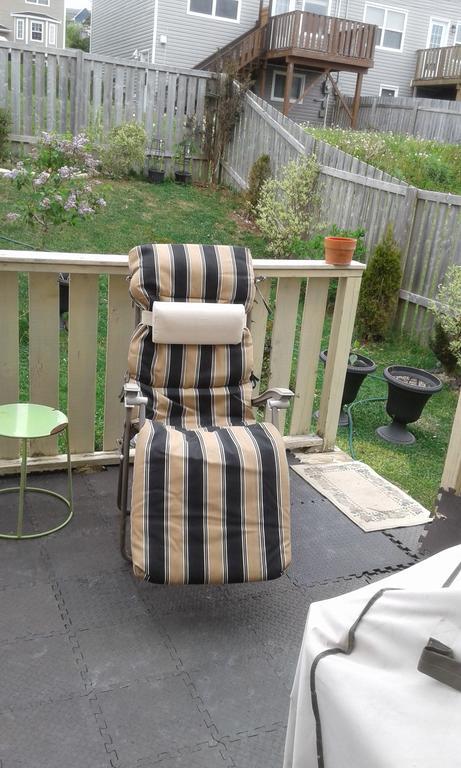 Cozy Pet Friendly Home St. John's Dış mekan fotoğraf
