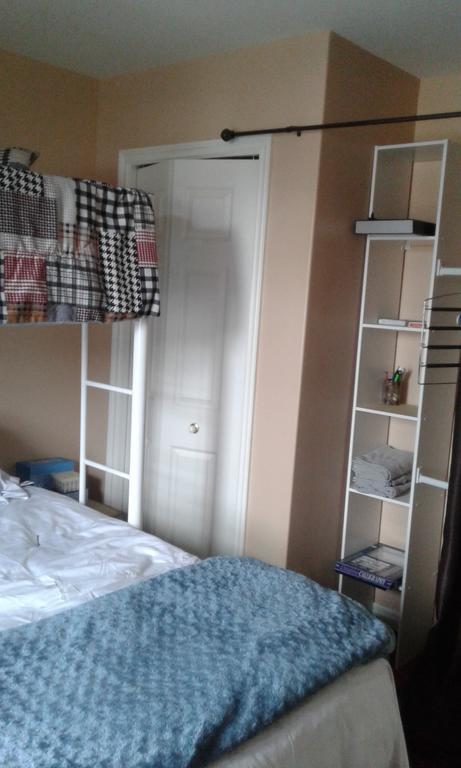 Cozy Pet Friendly Home St. John's Dış mekan fotoğraf