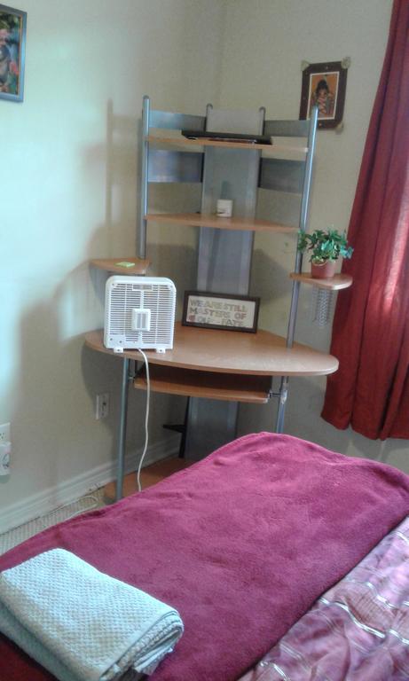Cozy Pet Friendly Home St. John's Dış mekan fotoğraf