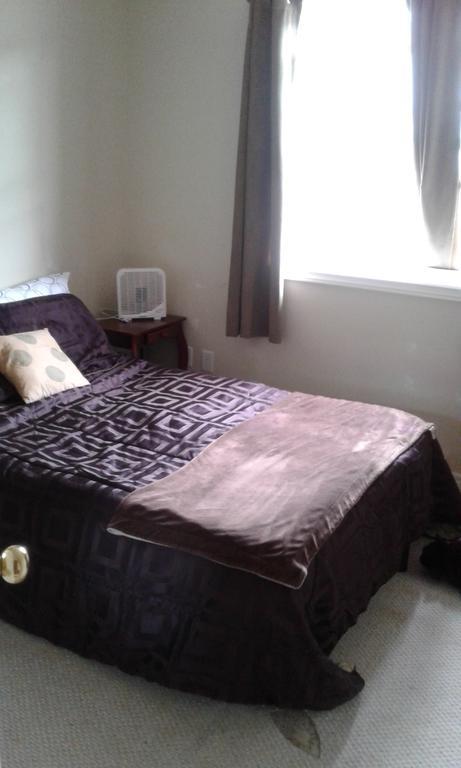 Cozy Pet Friendly Home St. John's Dış mekan fotoğraf