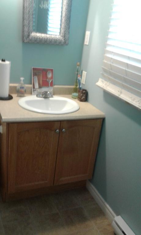 Cozy Pet Friendly Home St. John's Dış mekan fotoğraf